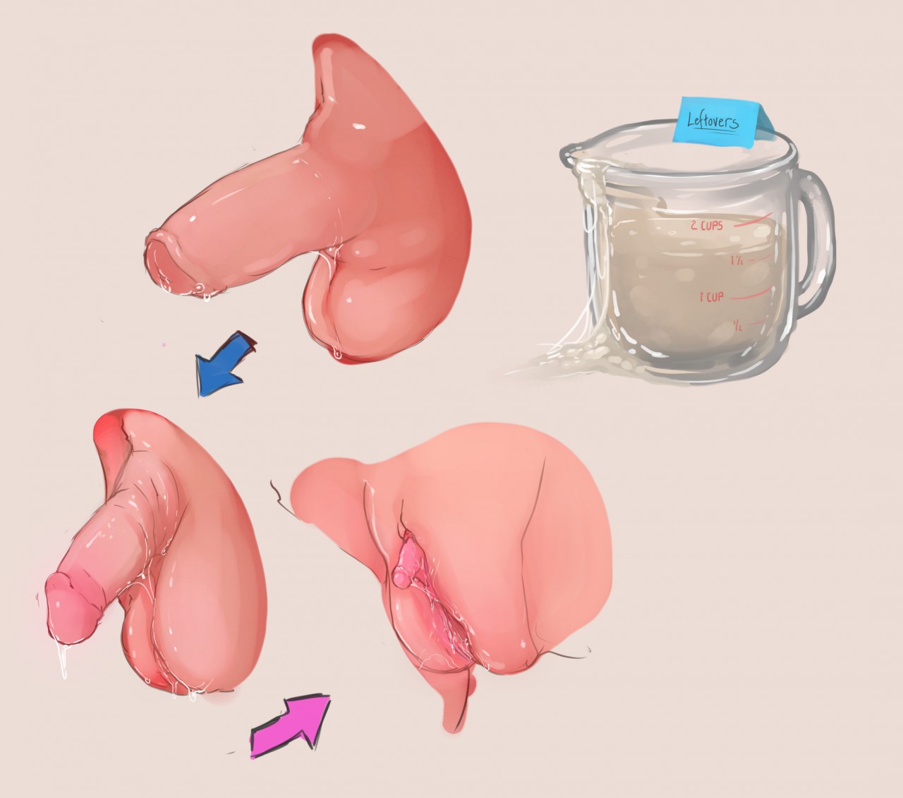 Anatomically Correct TG/TSF Genital Transformations page 1 full