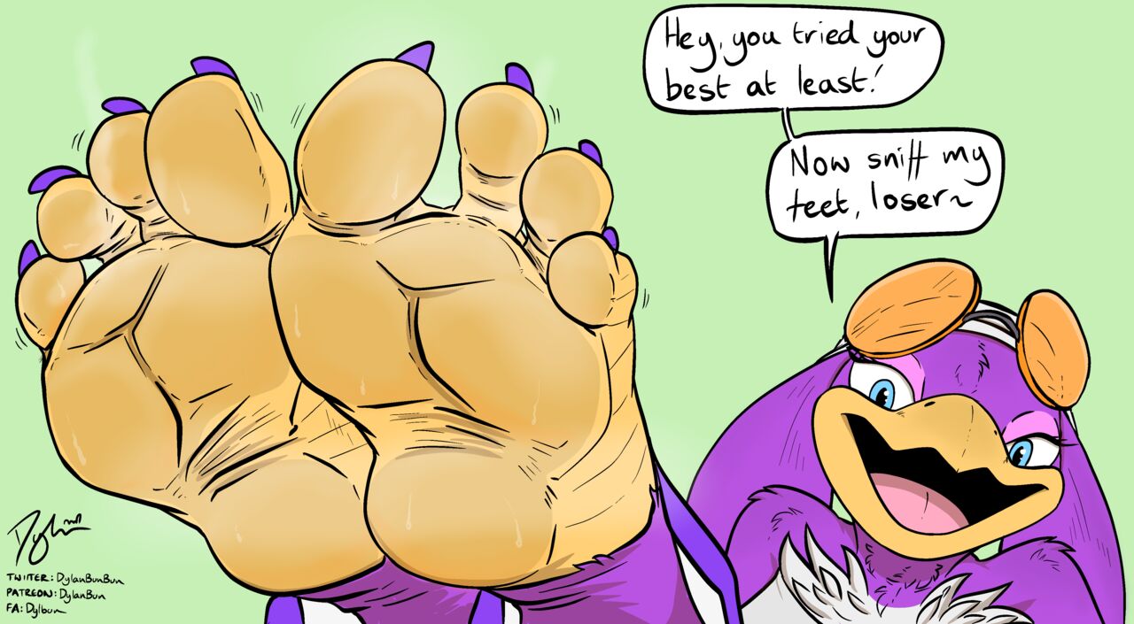 Dylbun Jet the Hawk and Wave the Swallow Arts page 1 full