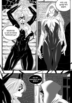 Felicia's Spider-Problem