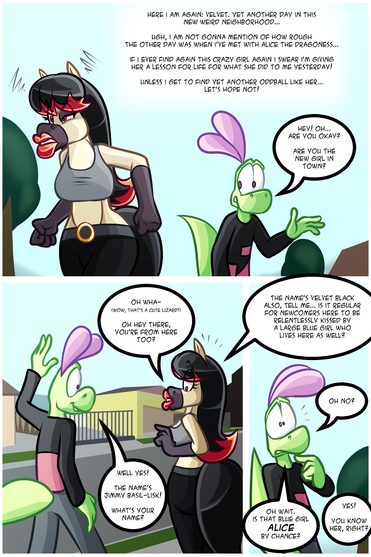 Newcomer page 6 full