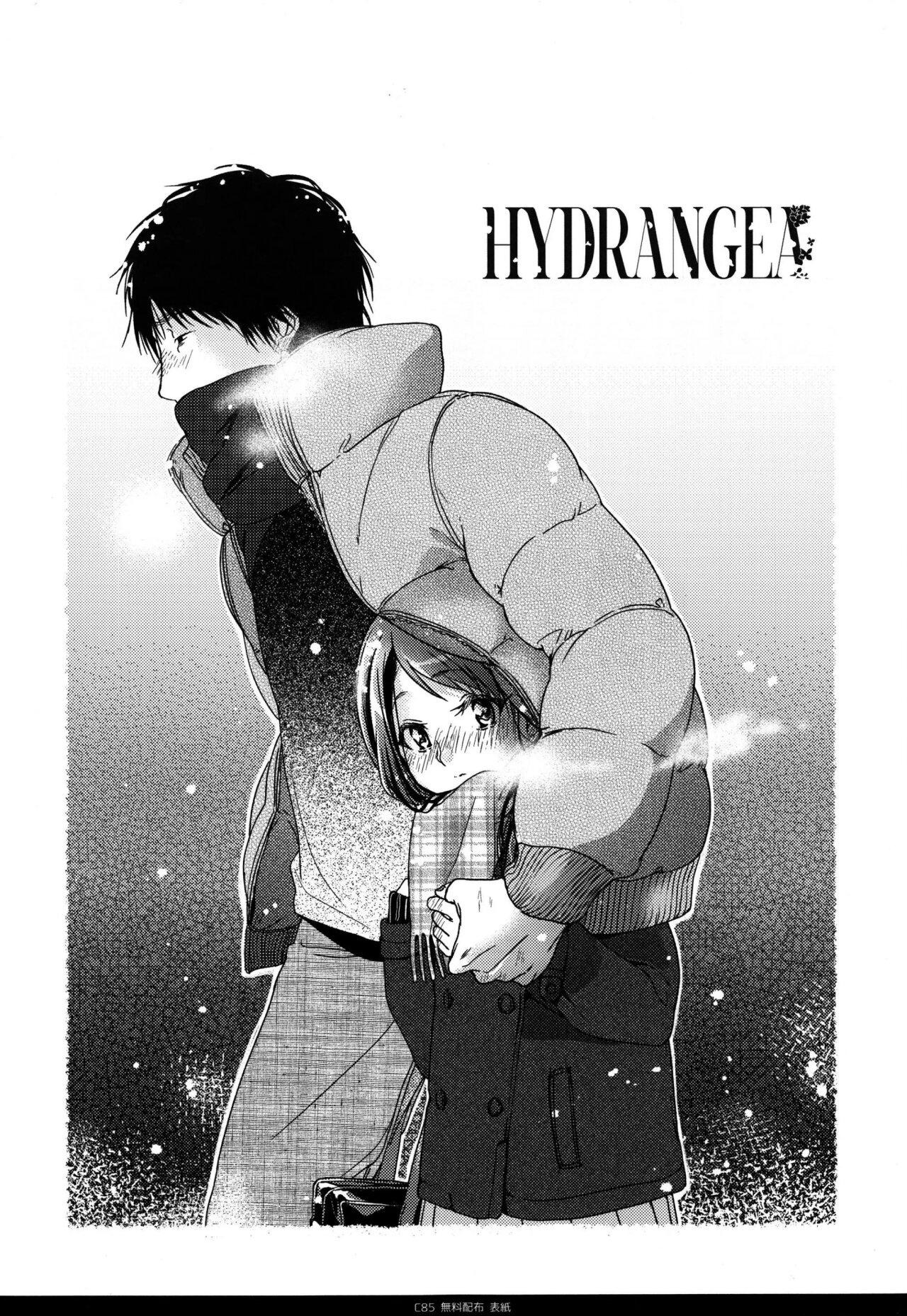 HYDRANGEA page 6 full