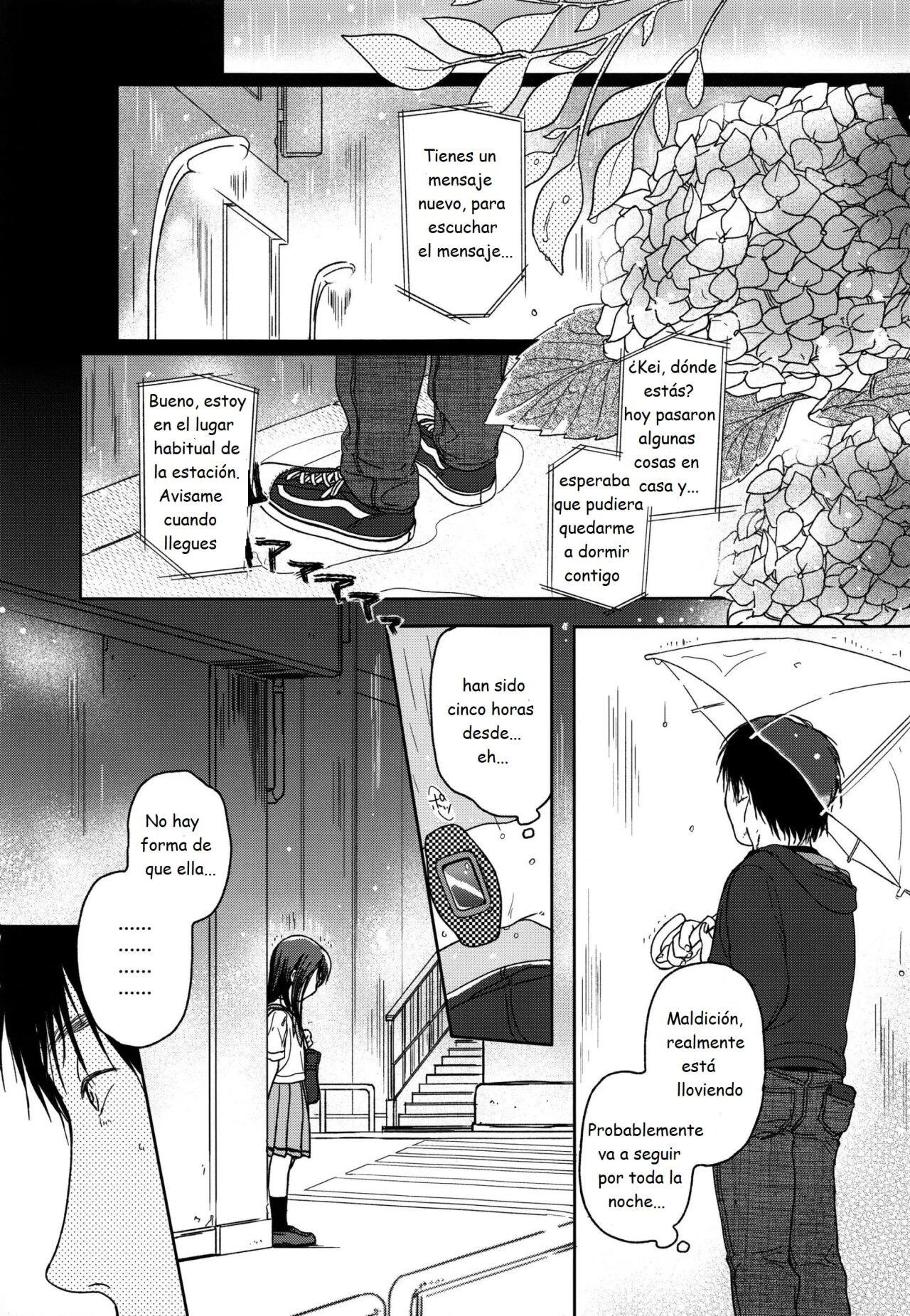 HYDRANGEA page 8 full