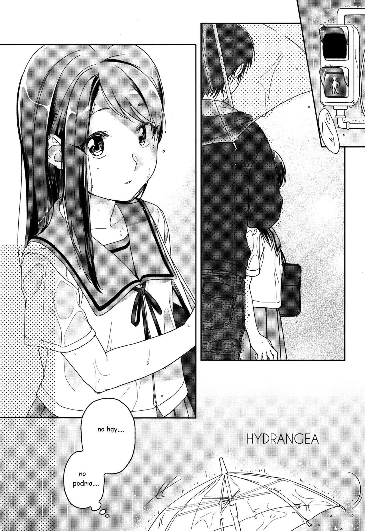HYDRANGEA page 9 full