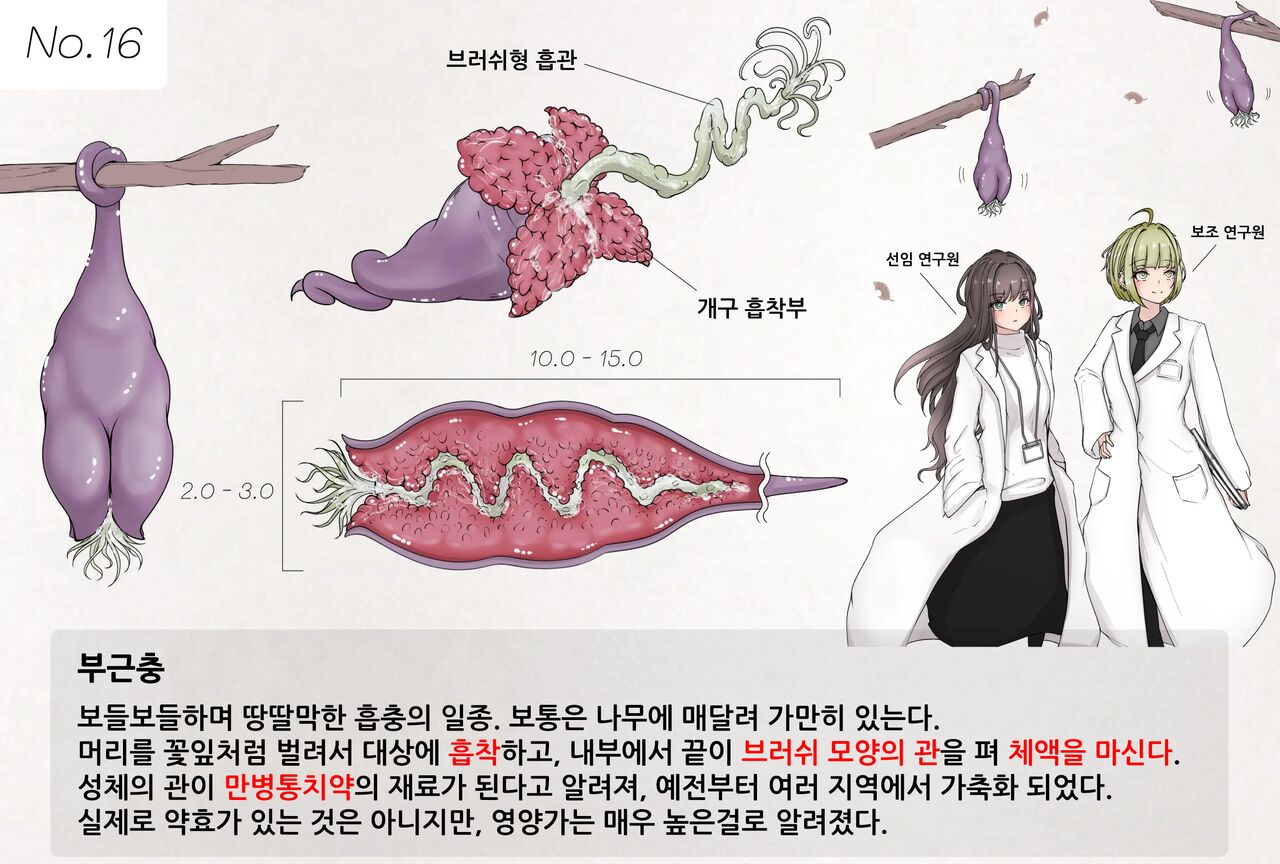 Mushi Research Report No.16 page 1 full