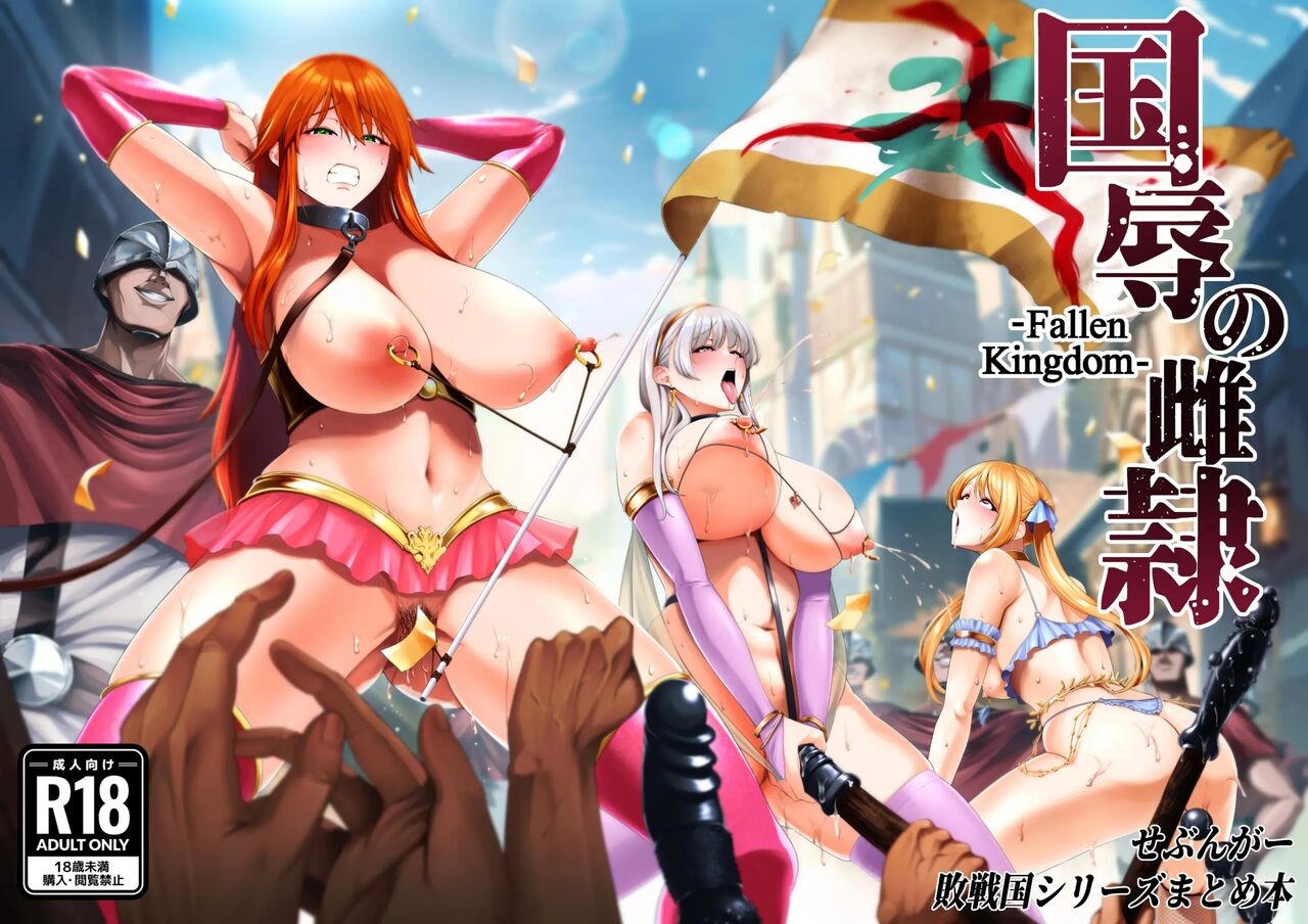 Kokujoku no Merei -Fallen kingdom- | 국욕의 암컷 노예 page 3 full