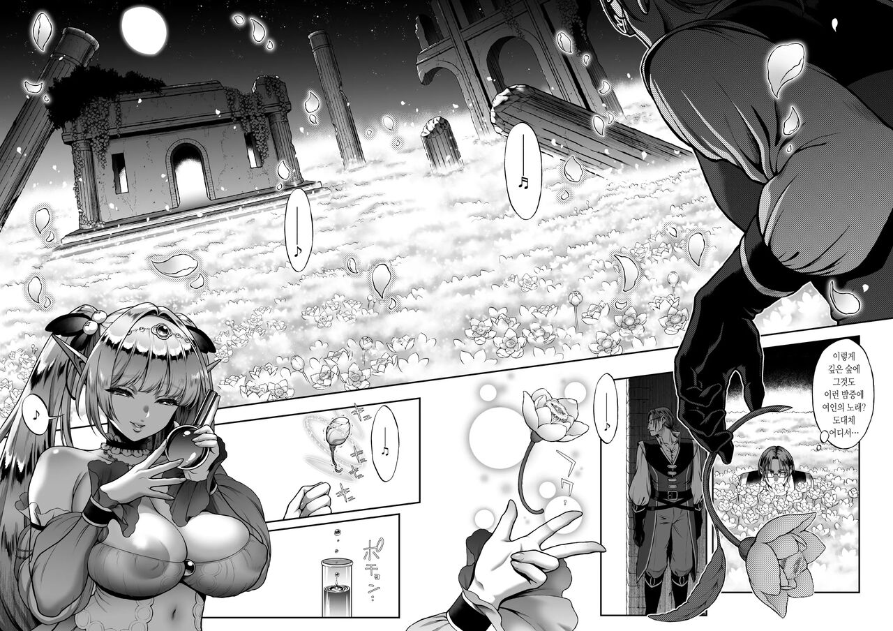 Yuukyuu no Shou Elf 3 "Mugen" Zenpen | 유구의 창엘프3 「몽환」전편 page 8 full