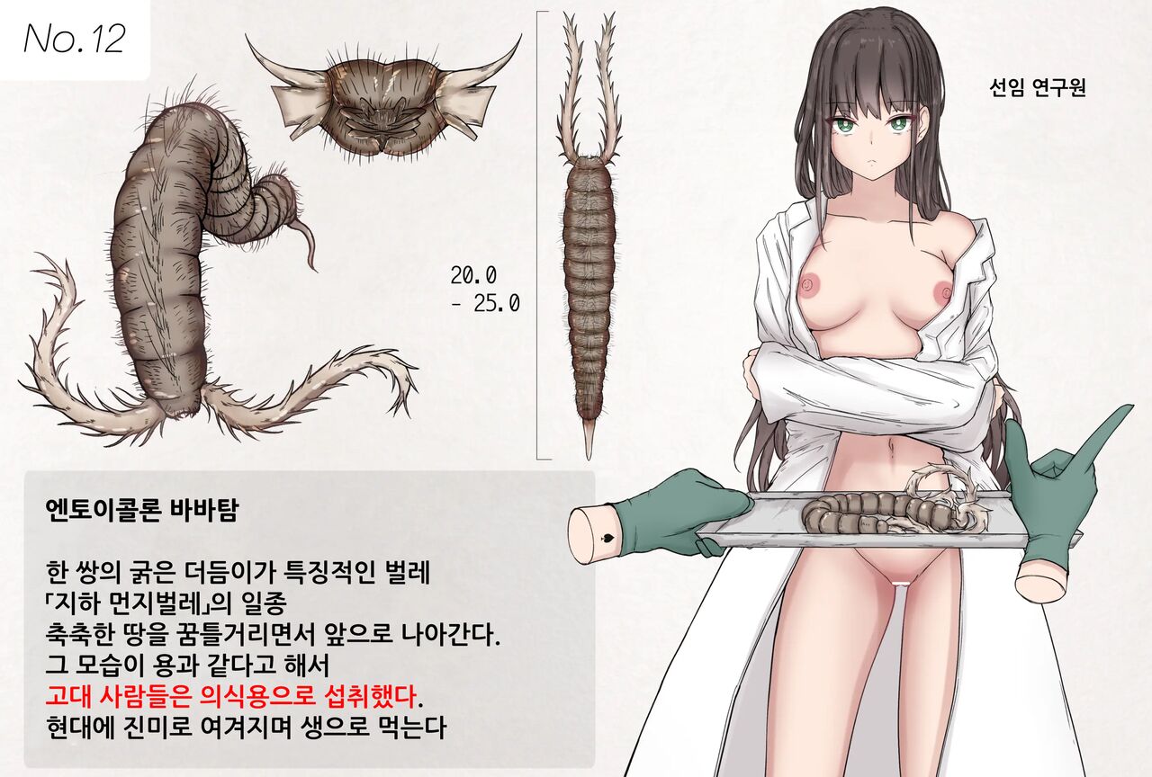 Mushi Research Report No.12 page 1 full