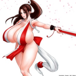 VS Mai Shiranui