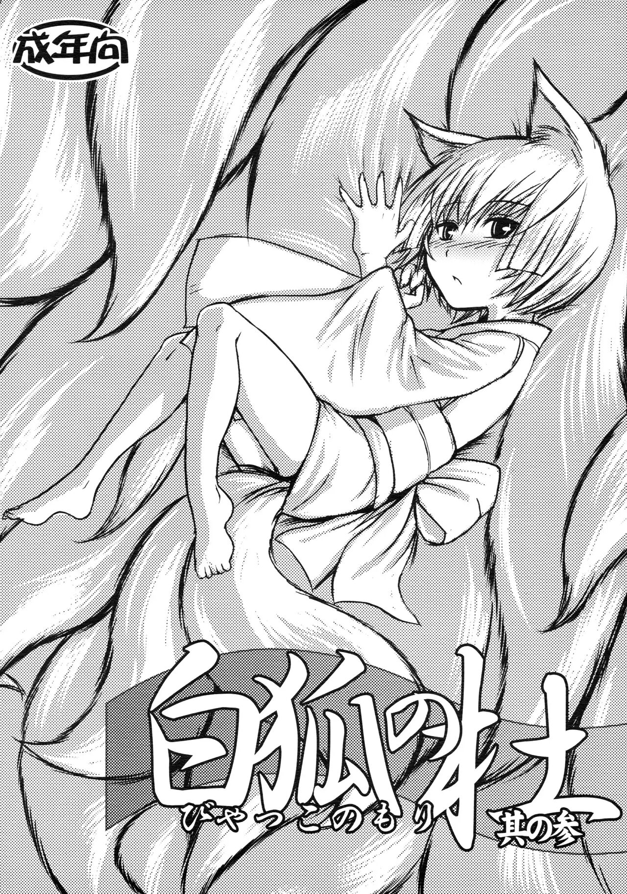 Byakko no Mori Sono San page 2 full