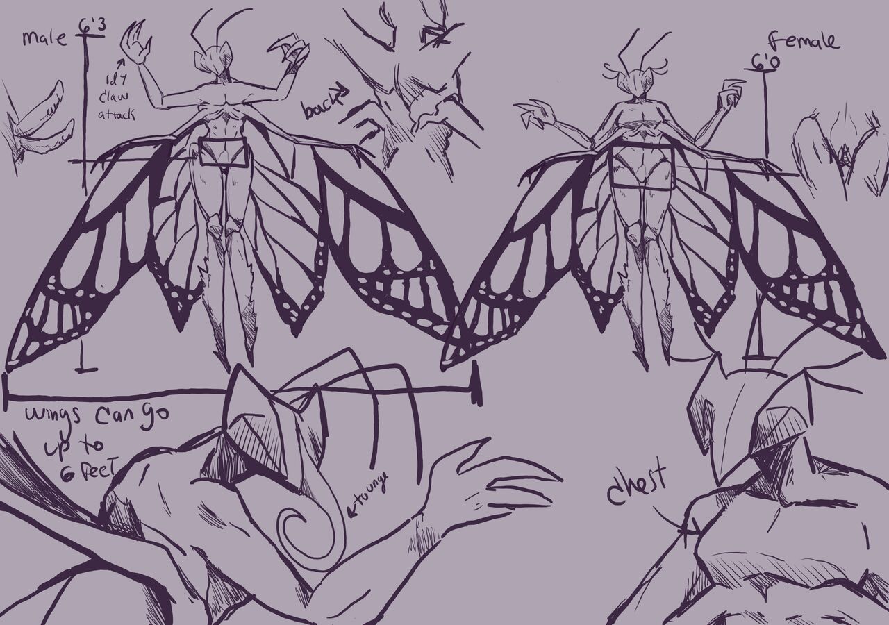 MOTH LOVE and bug love page 3 full