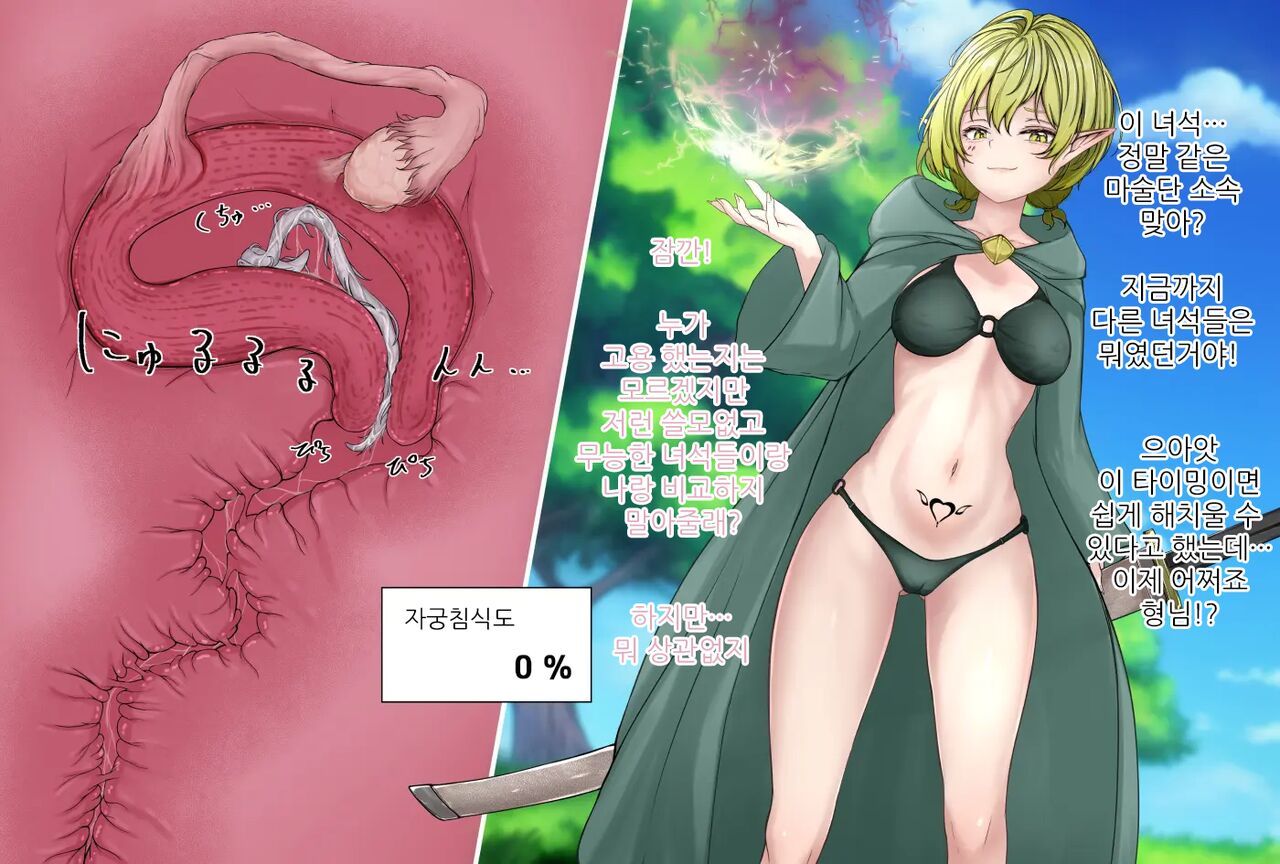 Kiseichuu ni Maryoku o Ubawareru Elf Mahoutsukai | 기생충에게 마력을 빼앗기는 엘프 마법사 page 2 full