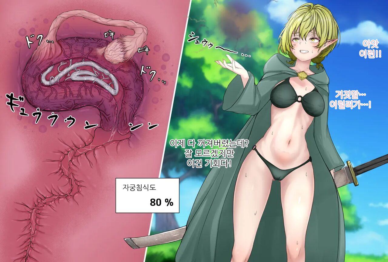 Kiseichuu ni Maryoku o Ubawareru Elf Mahoutsukai | 기생충에게 마력을 빼앗기는 엘프 마법사 page 7 full