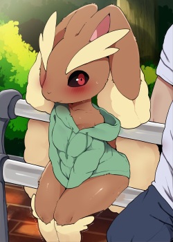 Pokemon - Lopunny Set