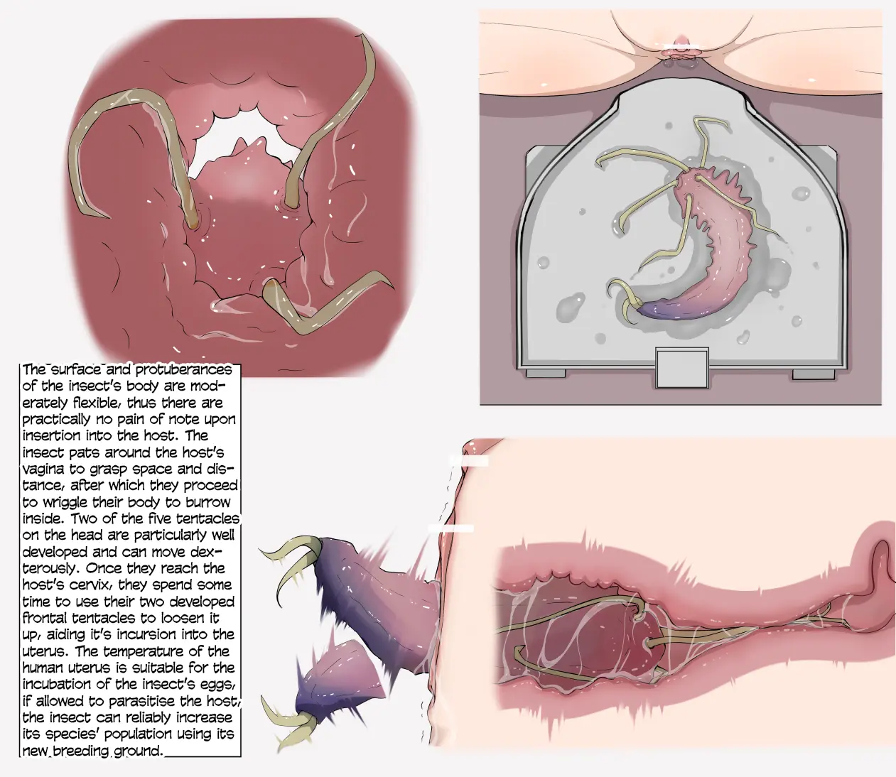 Insect Research Report No.1~23 page 4 full