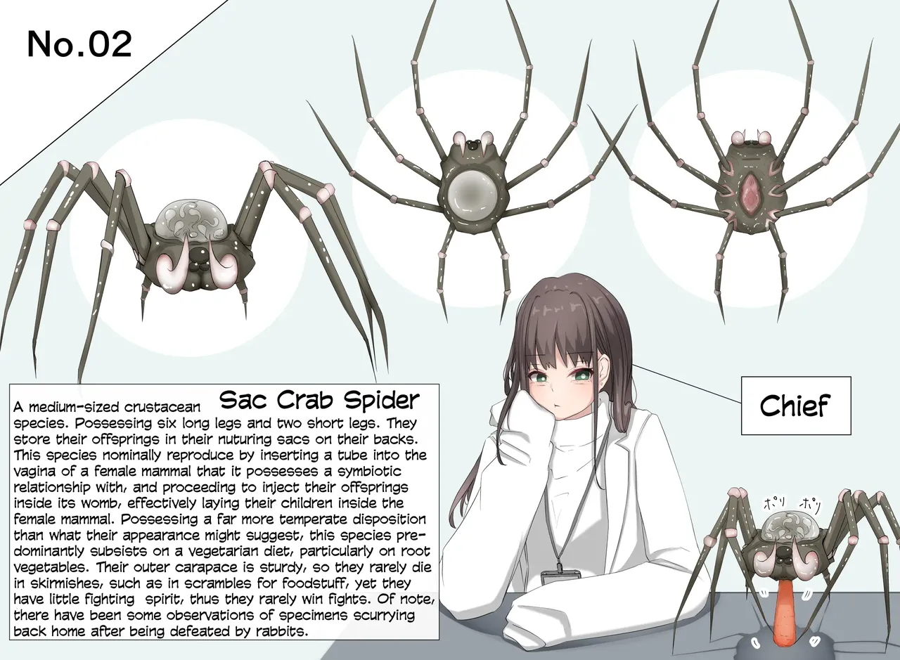 Insect Research Report No.1~23 page 5 full