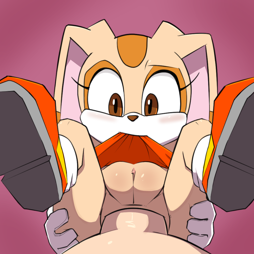 Cream the Rabbit Collection Part 1 page 1 full