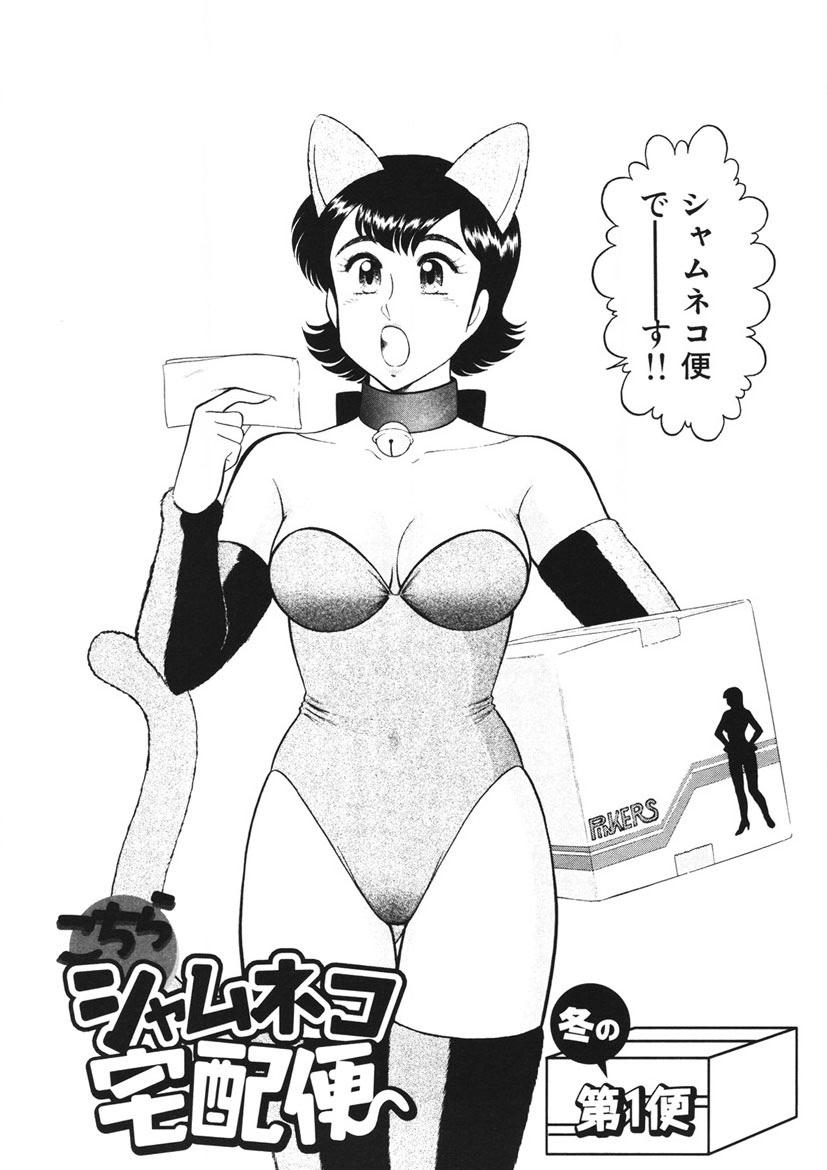 Shamese's Delivery Service page 5 full