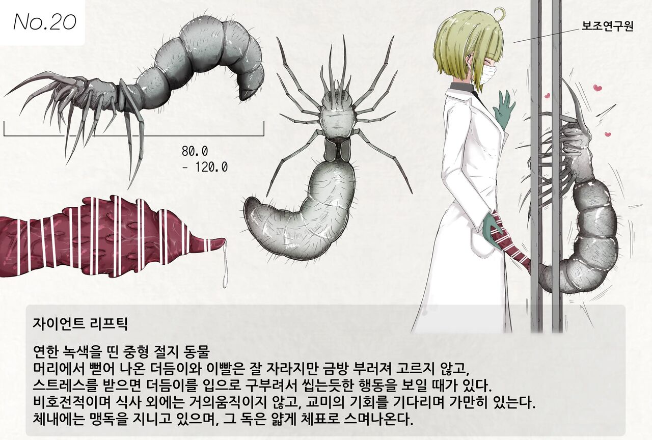 Mushi Research Report No.20 page 1 full