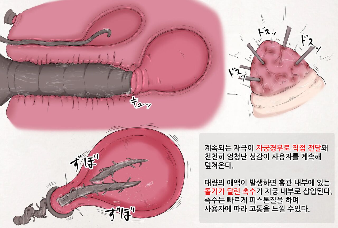 Mushi Research Report No.19 page 3 full