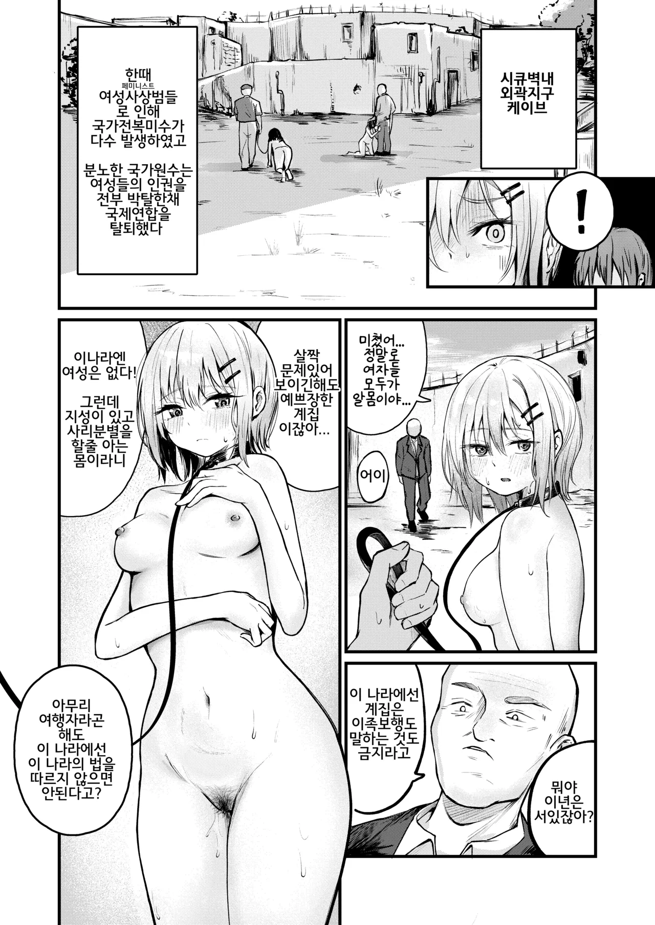 Josei no Kenri ga Ushinawareta Kuni page 7 full