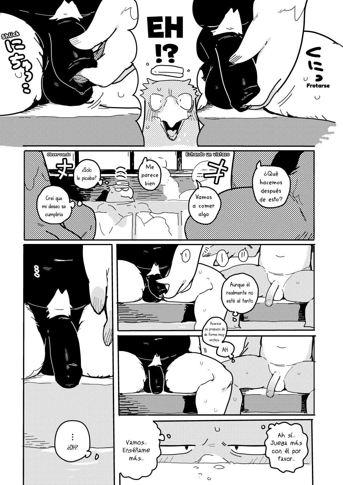 BIRD IN SPA! - Un Ave en las Termas page 3 full