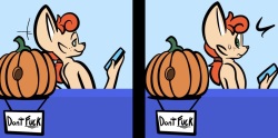 Don’t F the Pumpkin