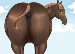 Horsepussy Mare Vulvar Winking