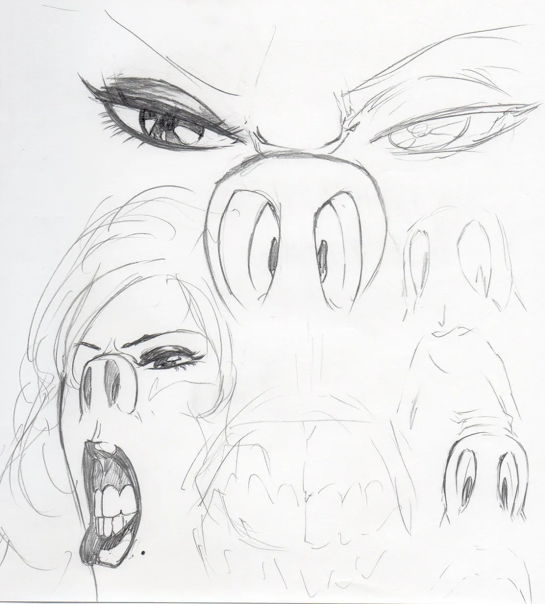 Gallery of Nose Hook page 6 full